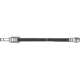 Purchase Top-Quality CENTRIC PARTS - 150.34317 - Rear Brake Hose pa1