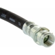 Purchase Top-Quality Rear Brake Hose by CENTRIC PARTS - 150.35311 pa4