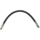 Purchase Top-Quality Rear Brake Hose by CENTRIC PARTS - 150.39317 pa2