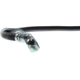 Purchase Top-Quality Rear Brake Hose by CENTRIC PARTS - 150.40338 pa7