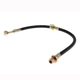 Purchase Top-Quality Rear Brake Hose by CENTRIC PARTS - 150.40349 pa2