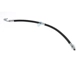 Purchase Top-Quality Rear Brake Hose by CENTRIC PARTS - 150.40351 pa1