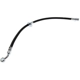 Purchase Top-Quality Rear Brake Hose by CENTRIC PARTS - 150.40359 pa11
