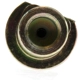 Purchase Top-Quality Rear Brake Hose by CENTRIC PARTS - 150.40372 pa5