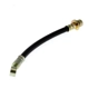 Purchase Top-Quality Rear Brake Hose by CENTRIC PARTS - 150.40384 pa1