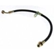Purchase Top-Quality Rear Brake Hose by CENTRIC PARTS - 150.40387 pa10