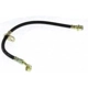 Purchase Top-Quality Rear Brake Hose by CENTRIC PARTS - 150.40388 pa9