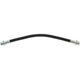 Purchase Top-Quality Rear Brake Hose by CENTRIC PARTS - 150.42003 pa2
