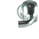 Purchase Top-Quality Rear Brake Hose by CENTRIC PARTS - 150.42393 pa4