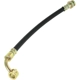 Purchase Top-Quality Rear Brake Hose by CENTRIC PARTS - 150.42397 pa4