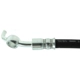 Purchase Top-Quality CENTRIC PARTS - 150.42428 - Rear Brake Hose pa6