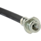 Purchase Top-Quality Rear Brake Hose by CENTRIC PARTS - 150.42435 pa2