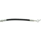 Purchase Top-Quality Rear Brake Hose by CENTRIC PARTS - 150.42436 pa6