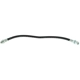 Purchase Top-Quality CENTRIC PARTS - 150.44319 - Brake Hydraulic Hose pa1