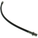 Purchase Top-Quality Rear Brake Hose by CENTRIC PARTS - 150.44329 pa10