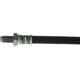 Purchase Top-Quality Rear Brake Hose by CENTRIC PARTS - 150.44345 pa4
