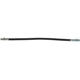Purchase Top-Quality Rear Brake Hose by CENTRIC PARTS - 150.44345 pa6