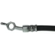 Purchase Top-Quality Rear Brake Hose by CENTRIC PARTS - 150.44353 pa3