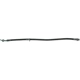Purchase Top-Quality Rear Brake Hose by CENTRIC PARTS - 150.44354 pa1