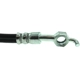 Purchase Top-Quality Rear Brake Hose by CENTRIC PARTS - 150.44375 pa3