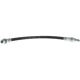Purchase Top-Quality Rear Brake Hose by CENTRIC PARTS - 150.44389 pa7