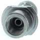 Purchase Top-Quality Rear Brake Hose by CENTRIC PARTS - 150.44391 pa6