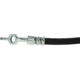 Purchase Top-Quality CENTRIC PARTS - 150.44398 - Rear Brake Hose pa4