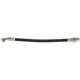 Purchase Top-Quality Rear Brake Hose by CENTRIC PARTS - 150.44404 pa4