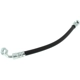 Purchase Top-Quality Rear Brake Hose by CENTRIC PARTS - 150.44407 pa7