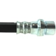 Purchase Top-Quality Rear Brake Hose by CENTRIC PARTS - 150.44409 pa1