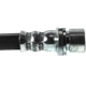 Purchase Top-Quality Rear Brake Hose by CENTRIC PARTS - 150.44437 pa7