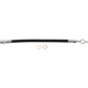 Purchase Top-Quality Rear Brake Hose by CENTRIC PARTS - 150.44454 pa1
