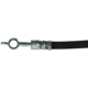 Purchase Top-Quality Rear Brake Hose by CENTRIC PARTS - 150.45345 pa1
