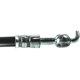 Purchase Top-Quality Rear Brake Hose by CENTRIC PARTS - 150.45356 pa3