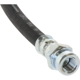Purchase Top-Quality Rear Brake Hose by CENTRIC PARTS - 150.46310 pa1