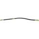 Purchase Top-Quality CENTRIC PARTS - 150.47310 - Rear Brake Hydraulic Hose pa6
