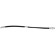 Purchase Top-Quality Rear Brake Hose by CENTRIC PARTS - 150.47333 pa4