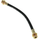 Purchase Top-Quality Rear Brake Hose by CENTRIC PARTS - 150.48302 pa1