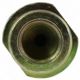 Purchase Top-Quality Rear Brake Hose by CENTRIC PARTS - 150.50359 pa17