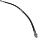 Purchase Top-Quality Rear Brake Hose by CENTRIC PARTS - 150.51301 pa6