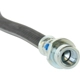 Purchase Top-Quality Rear Brake Hose by CENTRIC PARTS - 150.51303 pa1
