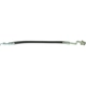 Purchase Top-Quality Rear Brake Hose by CENTRIC PARTS - 150.51325 pa8