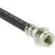Purchase Top-Quality Tuyau de frein arrière par CENTRIC PARTS - 150.51350 pa2