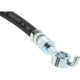 Purchase Top-Quality Rear Brake Hose by CENTRIC PARTS - 150.51365 pa2