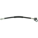 Purchase Top-Quality Rear Brake Hose by CENTRIC PARTS - 150.61308 pa5