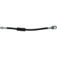 Purchase Top-Quality Rear Brake Hose by CENTRIC PARTS - 150.61312 pa4