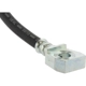 Purchase Top-Quality Rear Brake Hose by CENTRIC PARTS - 150.61339 pa2