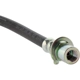 Purchase Top-Quality Rear Brake Hose by CENTRIC PARTS - 150.61444 pa6