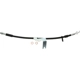 Purchase Top-Quality Rear Brake Hose by CENTRIC PARTS - 150.61455 pa2