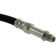 Purchase Top-Quality Rear Brake Hose by CENTRIC PARTS - 150.62000 pa6